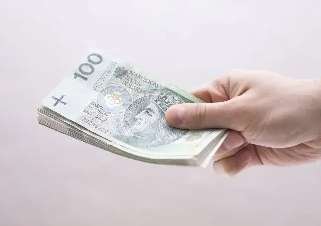 Zdjęcie Jak uniknąć błędów przy składaniu wniosku o dofinansowanie do węgla – krok po kroku